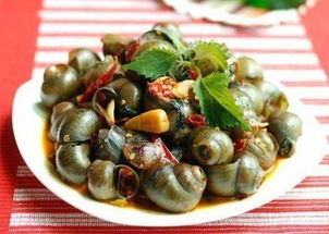 淄博胶东卤水与海鲜培训公司 费用与联系方式全解析